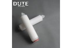 （疏水性）PTFE聚四氟乙烯折疊濾芯（疏水性）